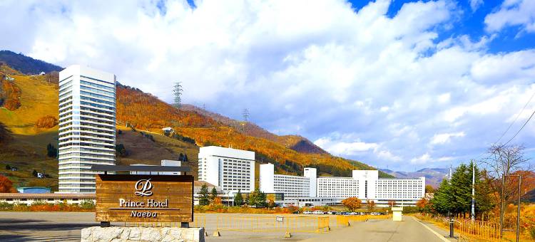 苗场王子大酒店(Naeba Prince Hotel)图片