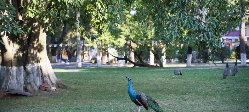 西昌邛海宾馆图片