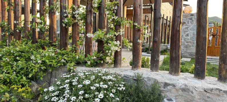 三舍微度假小院民宿图片