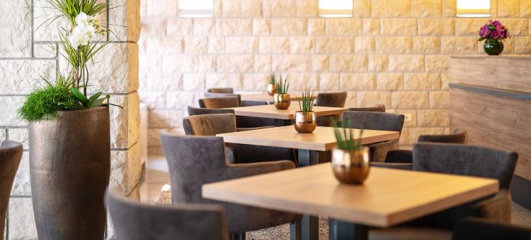 哈莱图酒店 - 圣西蒙度假村(Hotel Haliaetum - San Simon Resort)图片