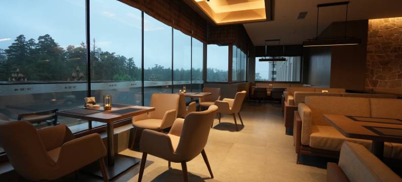 长白山璞悦温泉度假酒店图片