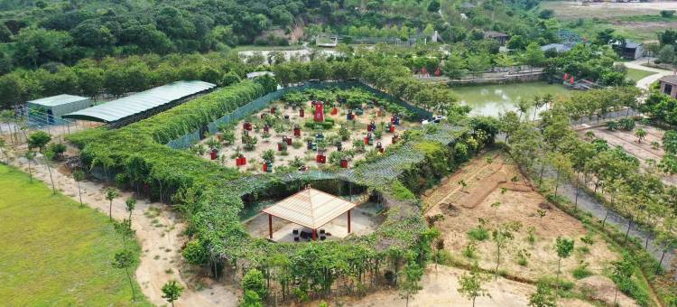 维也纳公寓(惠州大亚湾黄金海岸店)图片