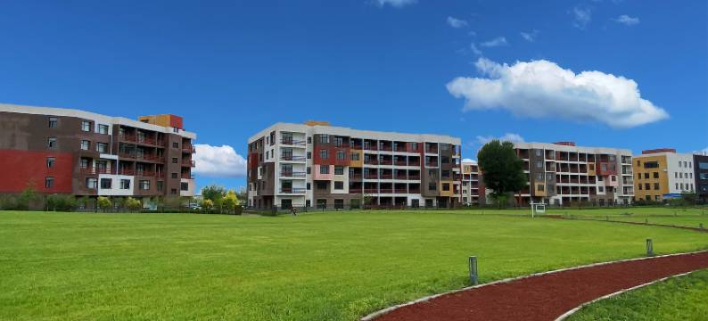 张北花田草海假日酒店图片