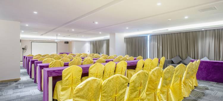 麗枫酒店(东莞大朗松山湖景区店)图片