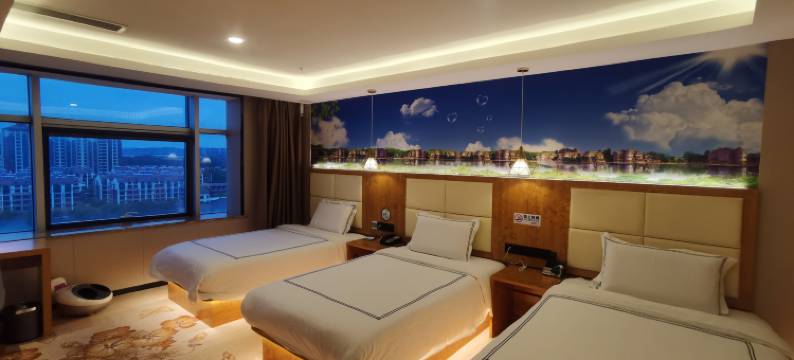 丽致酒店公寓图片