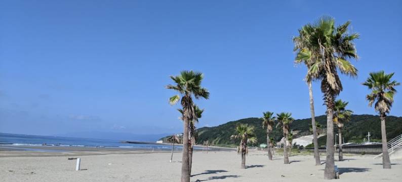 关空国际酒店(Kanku Kokusai Hotel)图片