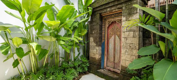 Dinara Ubud图片