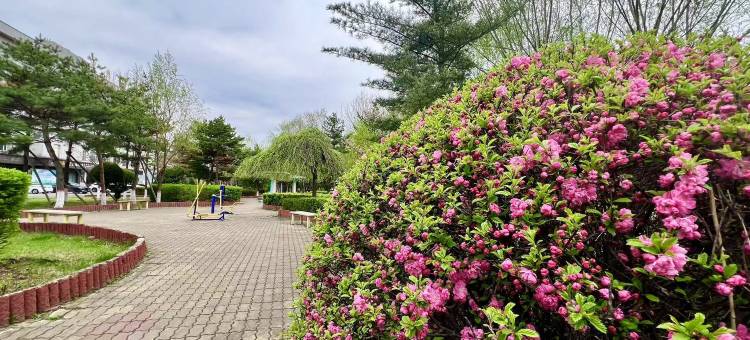 亚悦酒店(延边珲春西滨河南街店)图片