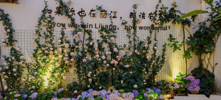 心悦阁·花园美宿(丽江古城店)图片