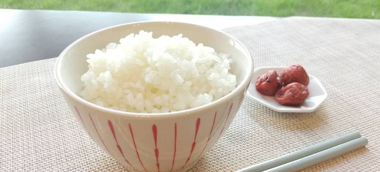 东横INN成田机场本馆(Toyoko Inn Narita Airport Honkan)图片