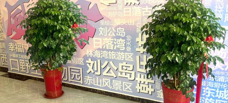 荣鼎商务酒店图片