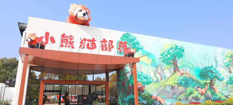 常州淹城小熊猫部落图片