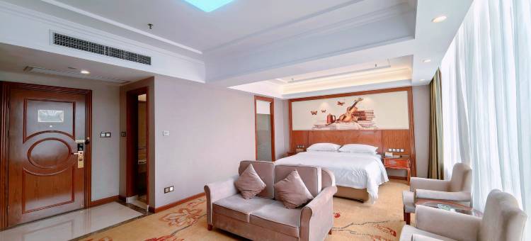 维也纳酒店(惠州龙门店)图片