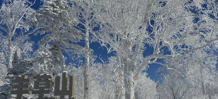雪谷雪谣居客栈(中国雪谷风景区店)图片