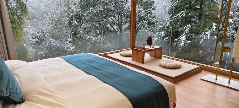 花筑奢·黄山苦株树故事民宿图片