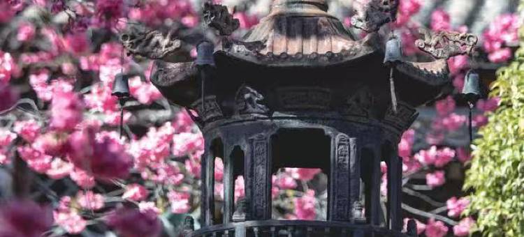 GRAND JOLI大美华宿·丽江依舍(丽江古城大水车店)图片