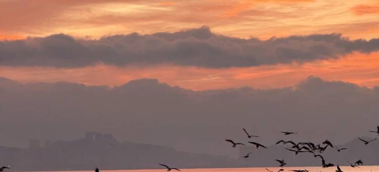 大理漫时光海景民宿(龙龛码头店)图片