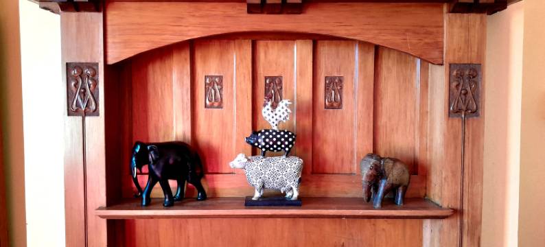 诺亚方舟背包客旅馆(Noah's Ark Flashpacker)图片