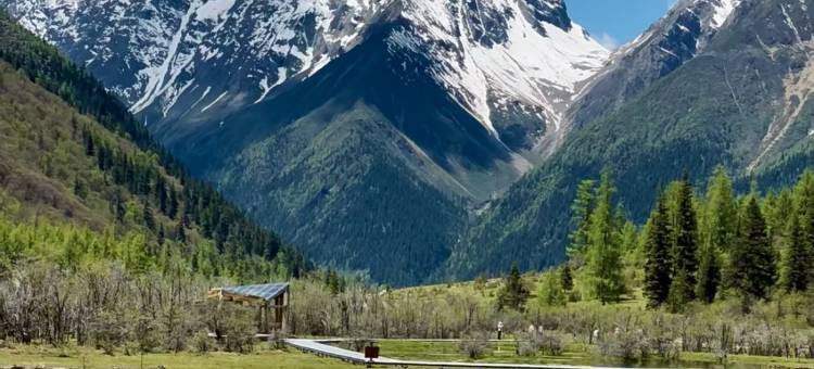 被梦叫醒酒店(双桥沟景区布达拉峰雪山公路打卡点店)图片