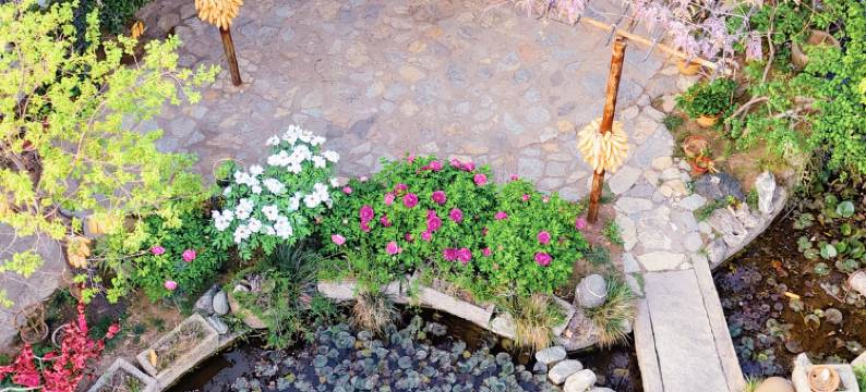 泰安梨园民宿图片