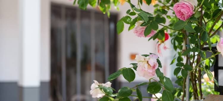 只此淀山湖·香泾小院·Living Beauty智能空间民宿图片