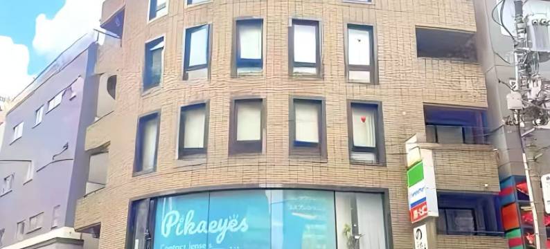 东京假日酒店(Tokyo Holiday Hotel)图片