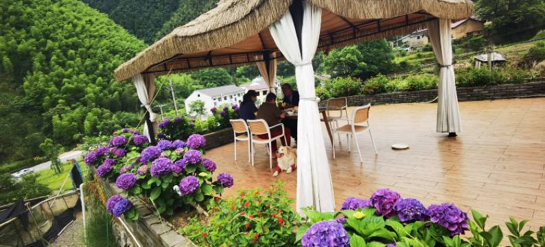 云梯小筑·中式原木风观山景休闲度假 Villa 民宿(云和梯田景区店)图片