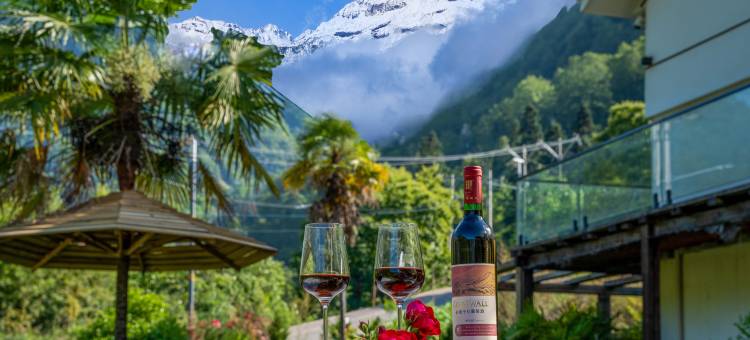 远景悬浮丨雪山温泉·山野疗愈设计师美宿(海螺沟冰川森林公园店)图片