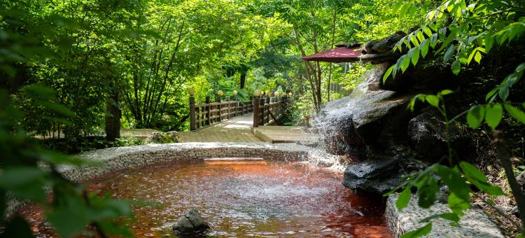 宝宇龙花温泉酒店图片