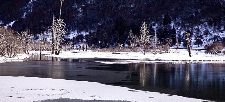 巴郎部落·云上艺宿(四姑娘山景区店)图片