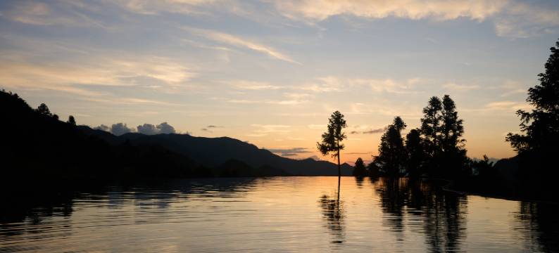 龙泉凤羽隐居芥子园图片