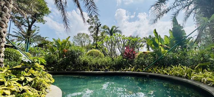 江门御泉湖居温泉酒店图片