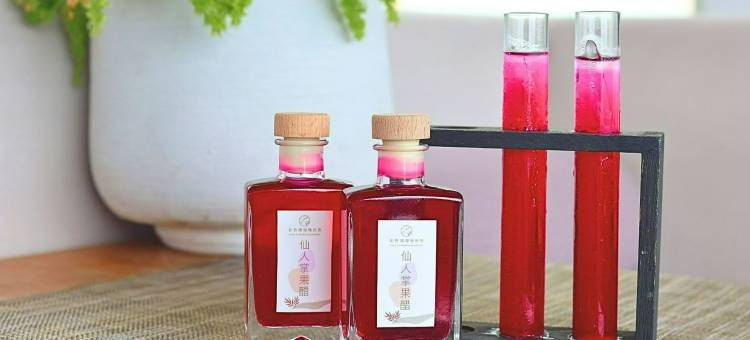 澎湖彩色珊瑚礁民宿图片