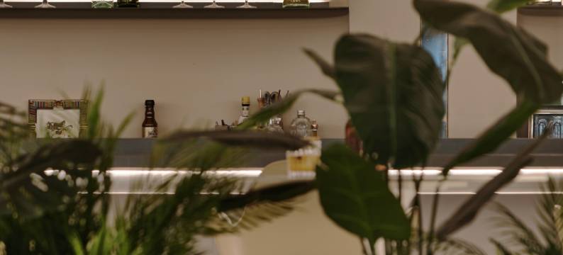 禧映酒店(南京夫子庙景区秦淮河店)图片