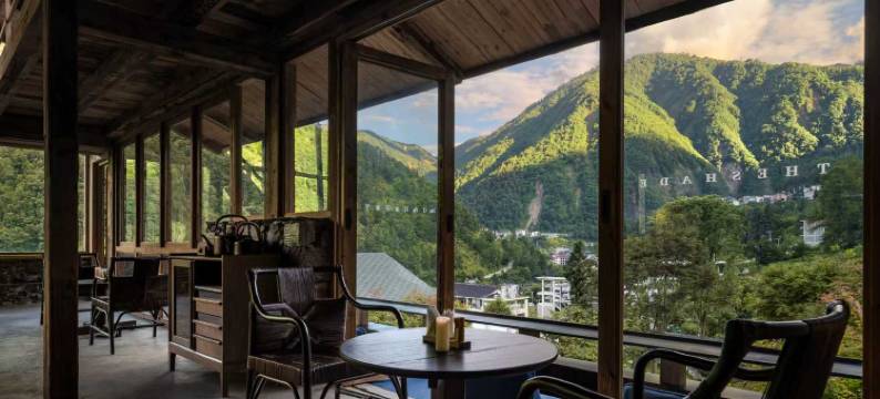 树下・艺术疗愈Healing・泳池・酒吧・雪山温泉・森林花园设计师美宿图片