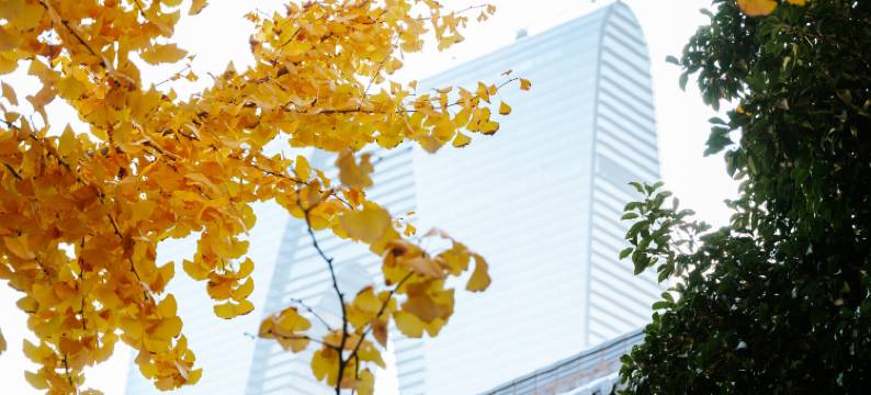 苏州金鸡湖托尼洛·兰博基尼书苑酒店图片