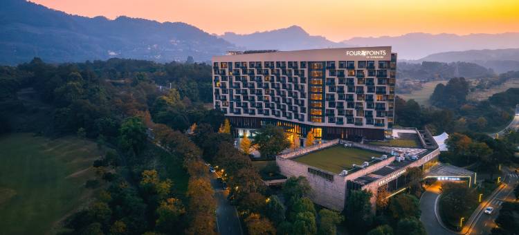 成都蒲江花样年福朋喜来登度假酒店图片