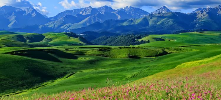 桔朵酒店(吉木萨尔客运站店)图片