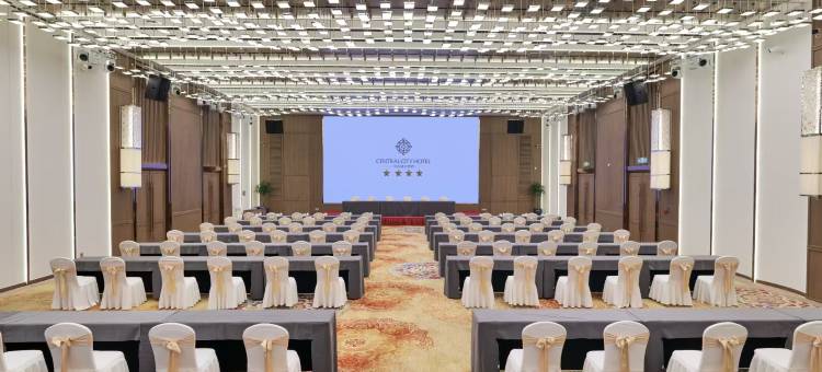 芜湖中央城大酒店图片