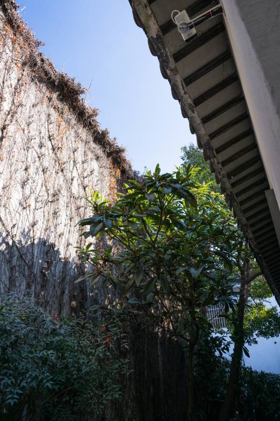 苏州观前街有熊酒店(平江路店)图片
