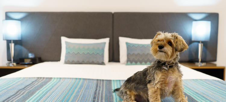 珀斯东方探索酒店(Quest East Perth)图片