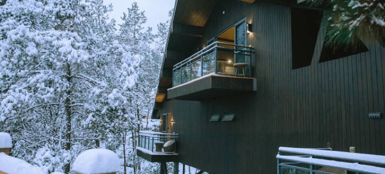 酉阳桃花源森林酒店图片