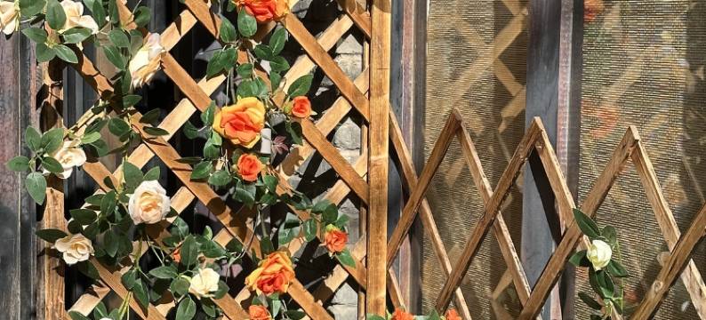 丽江束河高海拔之恋客栈图片