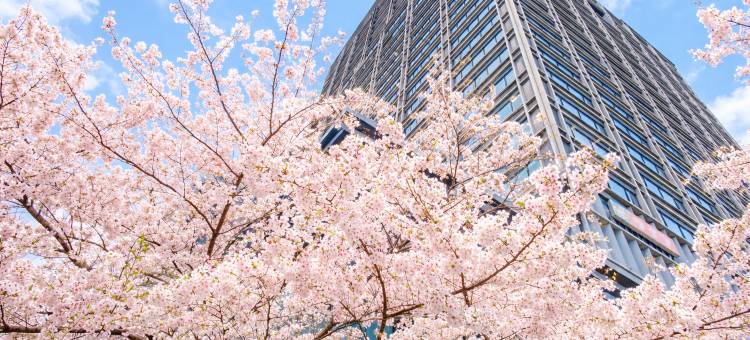 大阪蒙特利格拉斯米尔酒店(Hotel Monterey Grasmere Osaka)图片