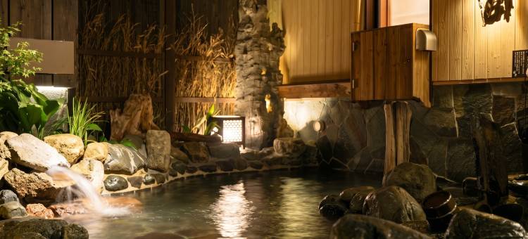 东京八丁堀多美迎天然温泉酒店(多美迎・御宿野乃 酒店集团)(Dormy Inn Tokyo Hatchobori Natural Hot Spring)图片