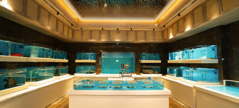 兰州宇阳国际酒店图片