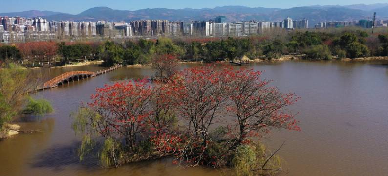 一米阳光精品酒店图片