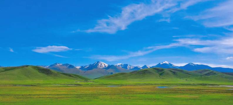 飞驰巴音度假营地(巴音布鲁克景区店)图片