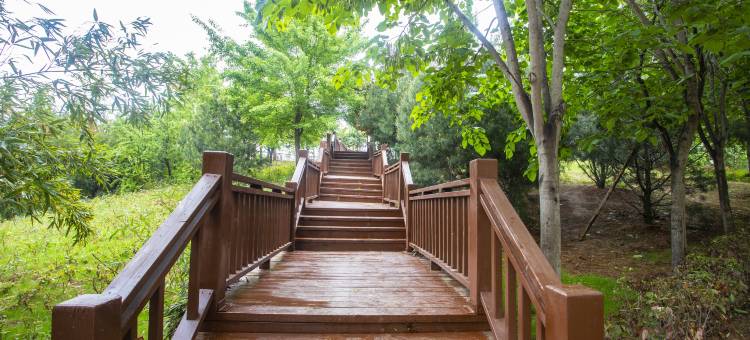 都市花园酒店(洛阳涧西区国家大学科技园店)图片