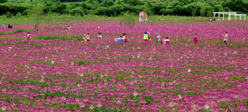 伊春顺风农家院图片